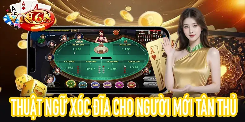 Bảng thuật ngữ xóc đĩa cho tân thủ, an toàn và chính xác